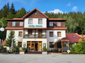 Hotel Praha, Destne V Orlickych Horach